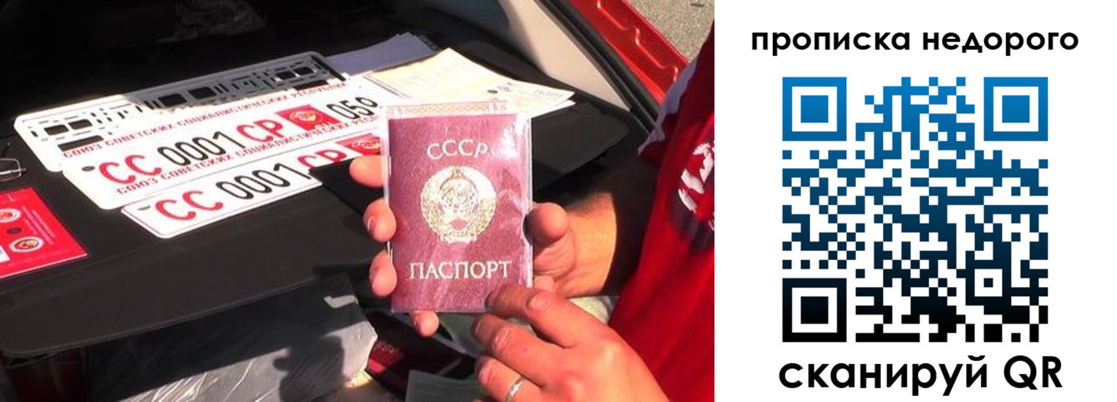 прописка для работы в Чистополье